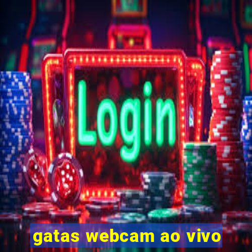 gatas webcam ao vivo